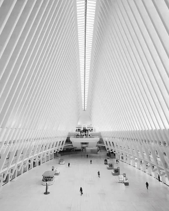 LESSON 15: Studying the Monochrome Masters