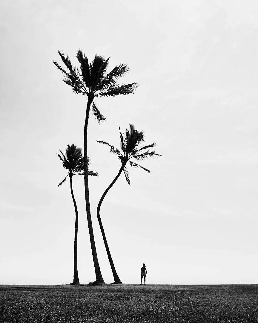 LESSON 4: Basic Composition for Monochrome Photography