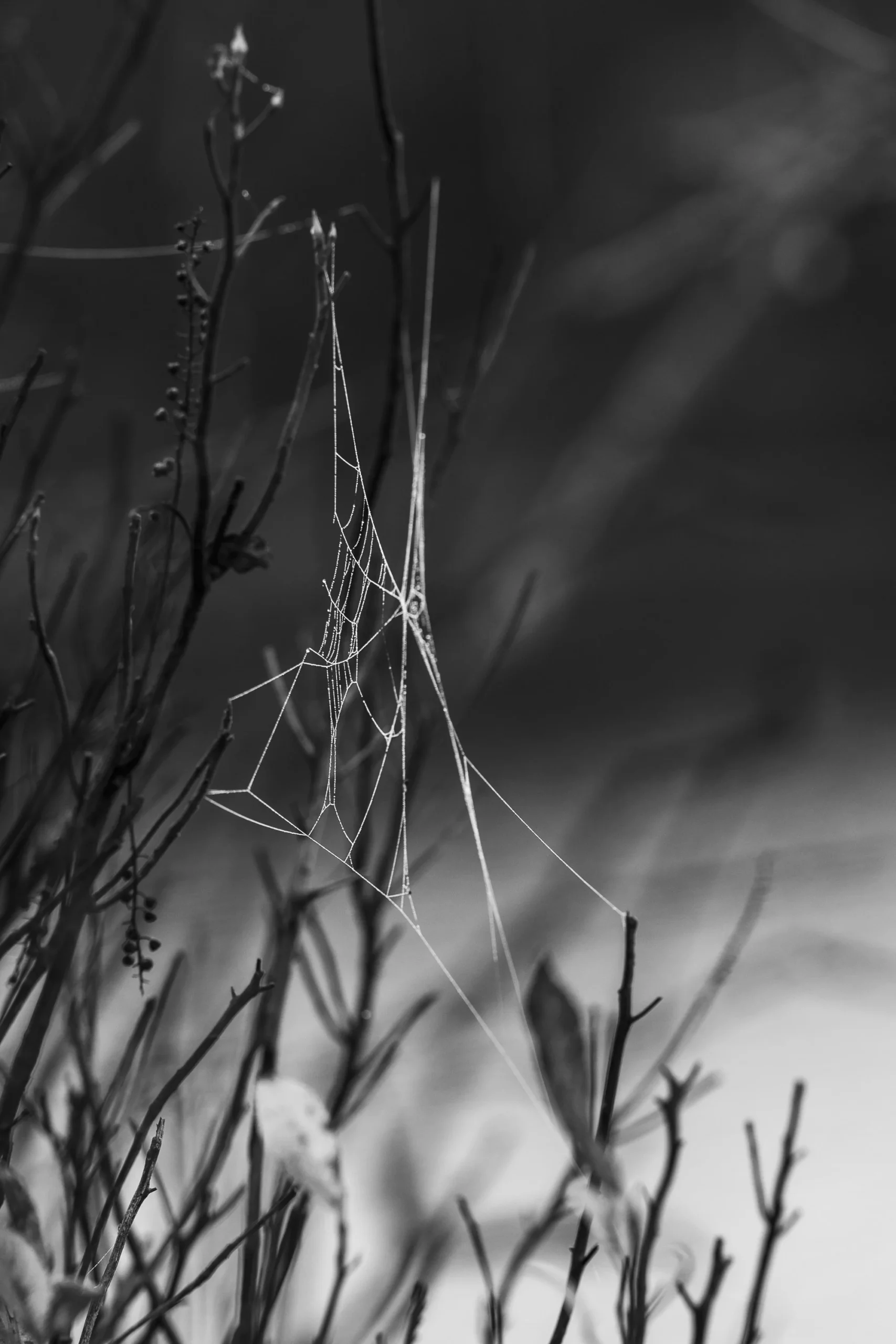 Behind The shot With Peggy Becker