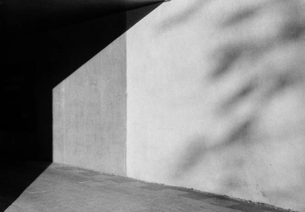 Photograph by Tomas Revilla Cortazar