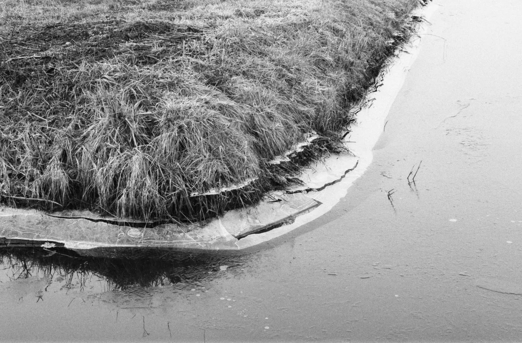 Photograph by Tomas Revilla Cortazar