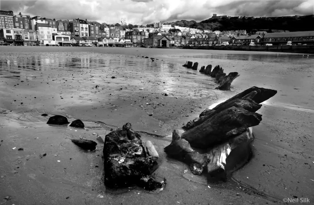 Photograph by Neil Silk