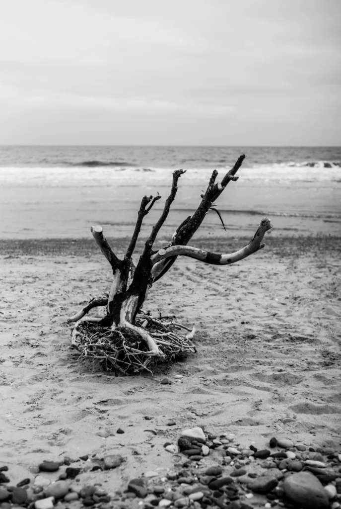 Photograph by Neil Silk