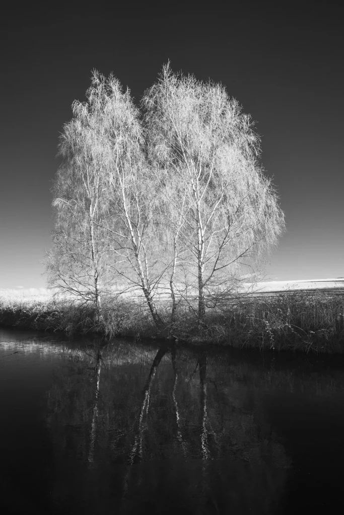 Photograph by Tony Hunter