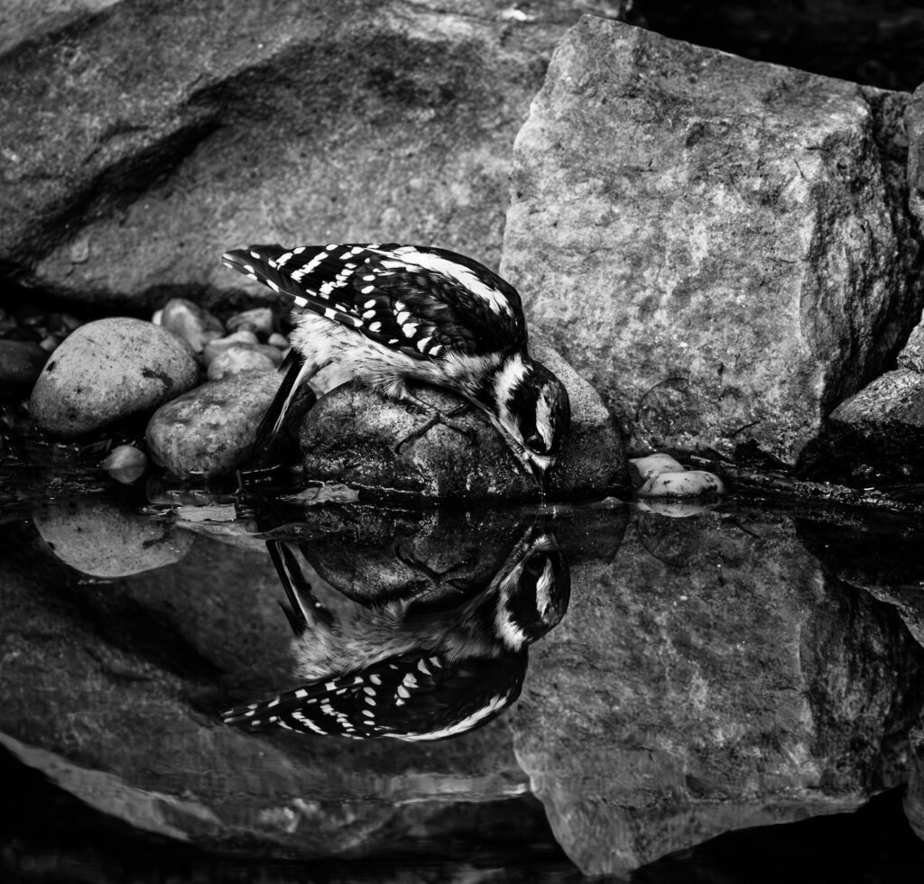 Photograph by Mark W. Archibald