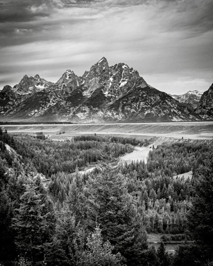 Photograph by Dave Cody