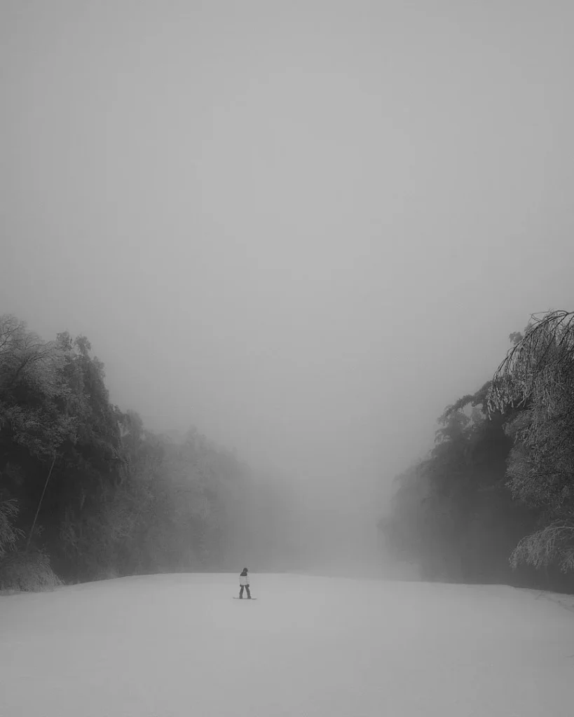 Photograph by Darren Pellegrino