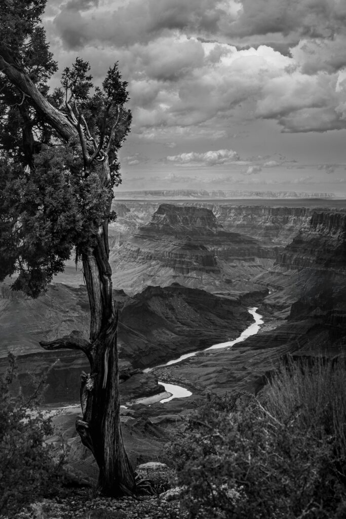 Photograph by Barbara Altevers