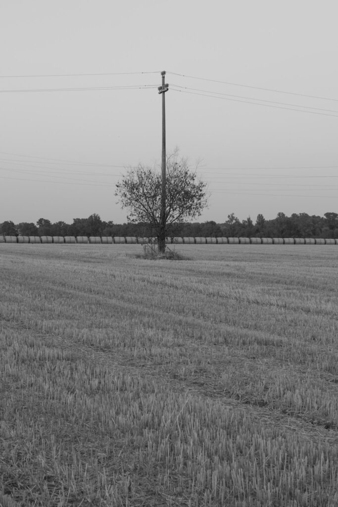 Photograph by Duccio Solari