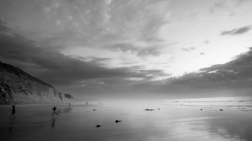 Photograph by Steve Lim