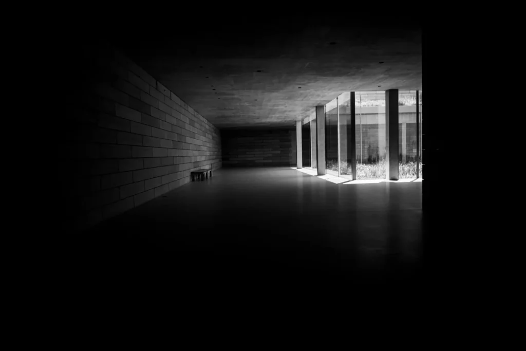 Photograph by Steve Lim