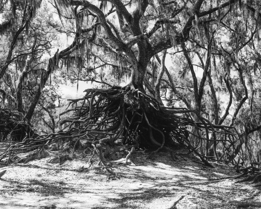 Photograph by Derrick Buckner