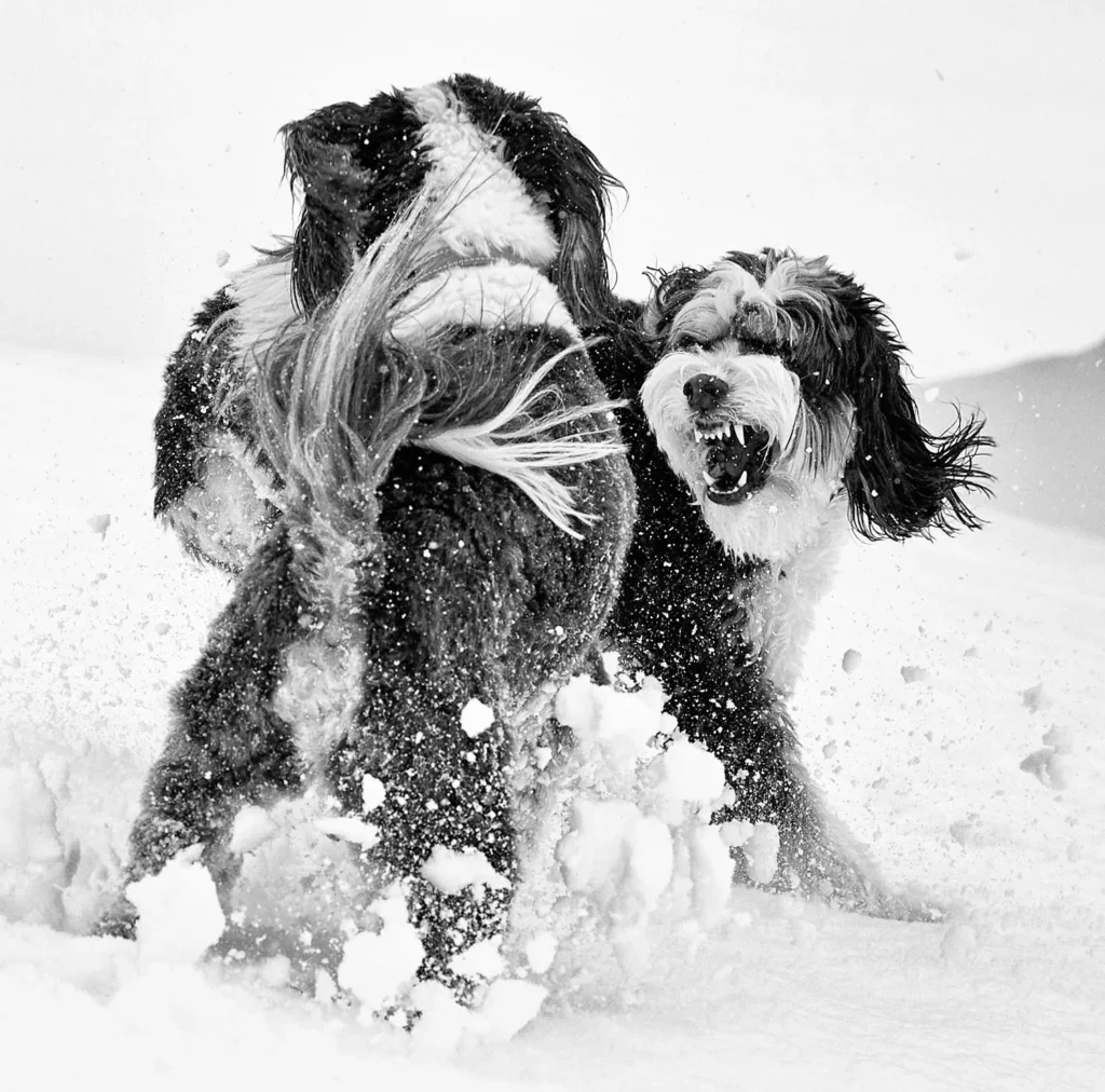 Photograph by Scott Lucas