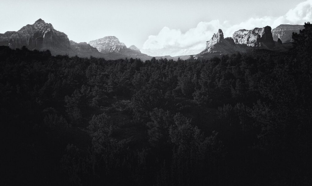 Photograph by Scott Lukas