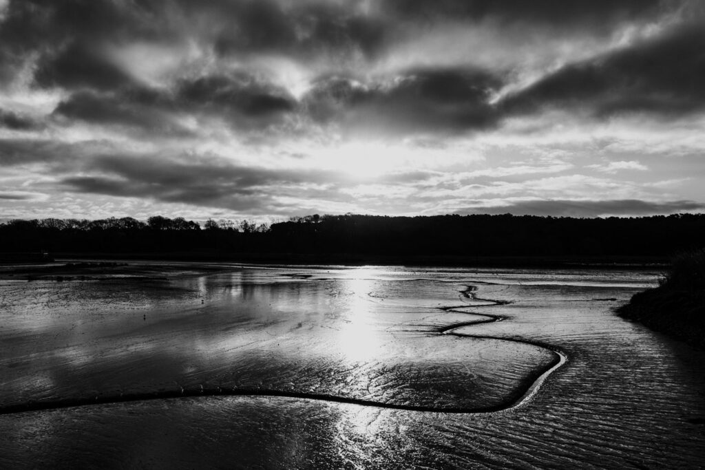 Photograph by Paul Jenkin