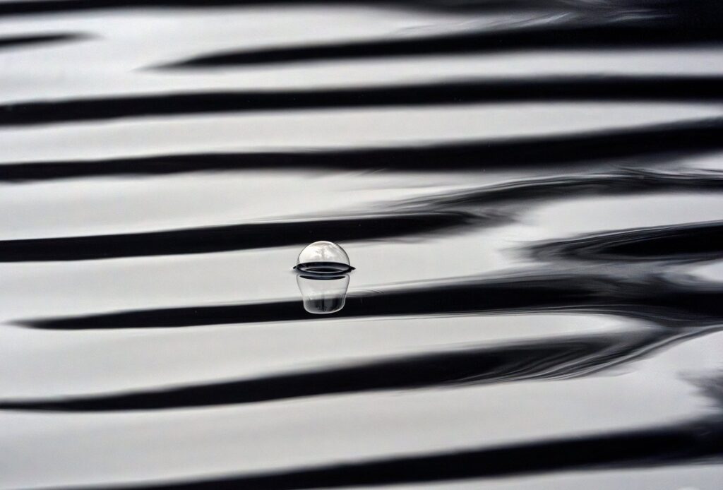Photograph by Brian Nicholson