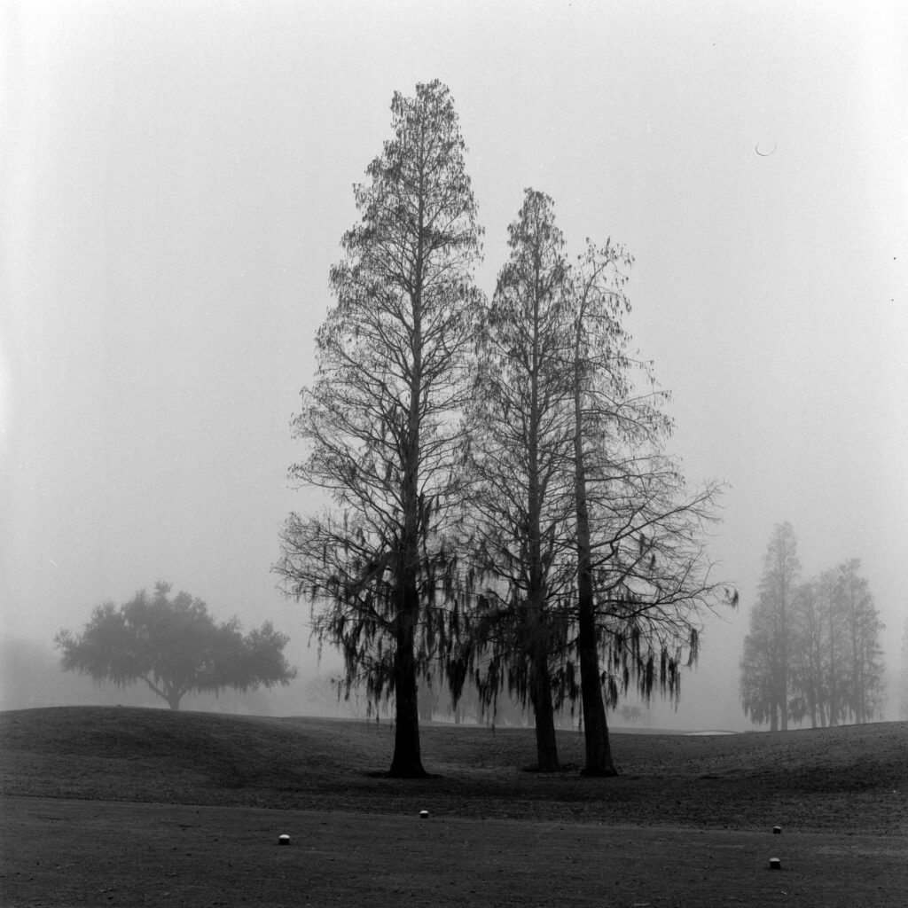 Photograph by Derrick Buckner