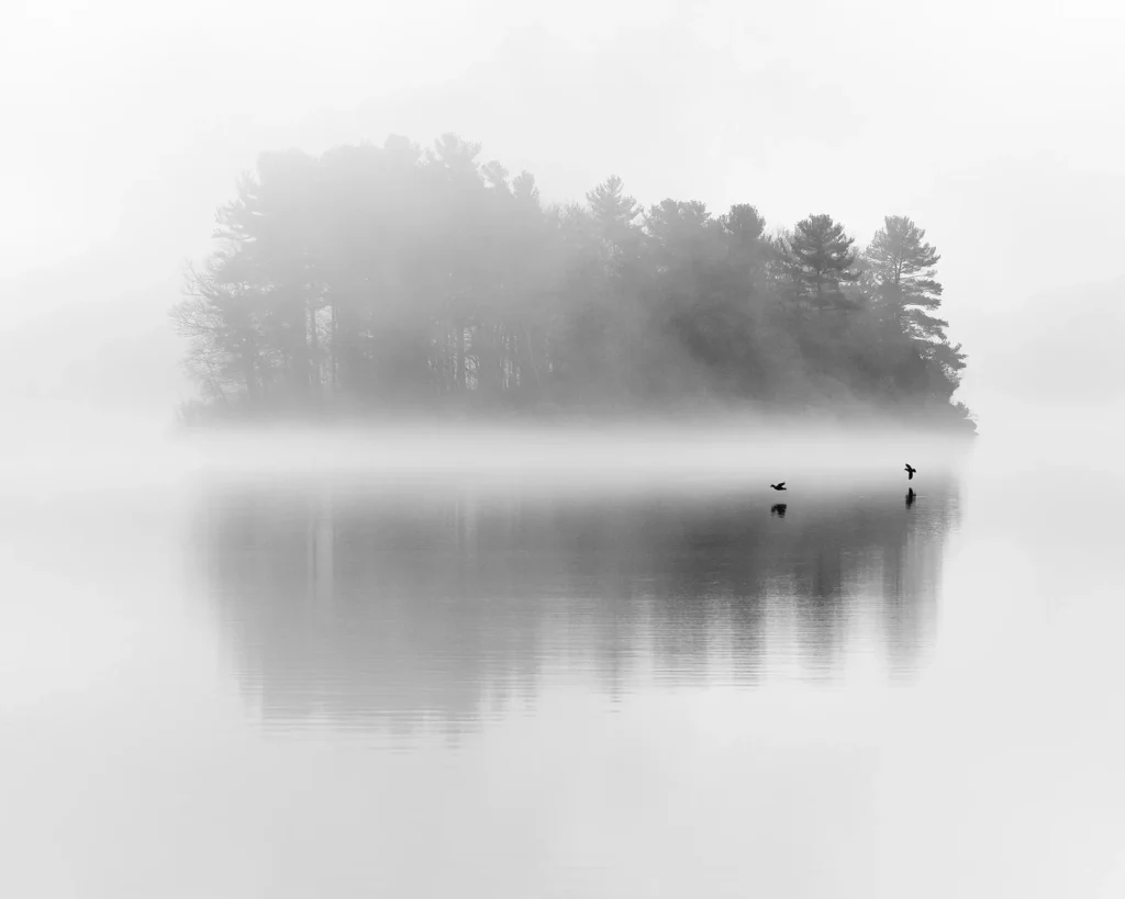 Photograph by Darren Pellegrino
