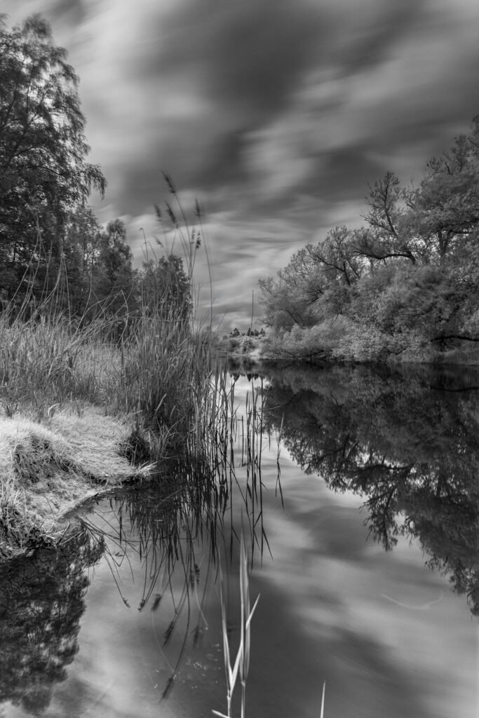 Photograph by Frank Wesner