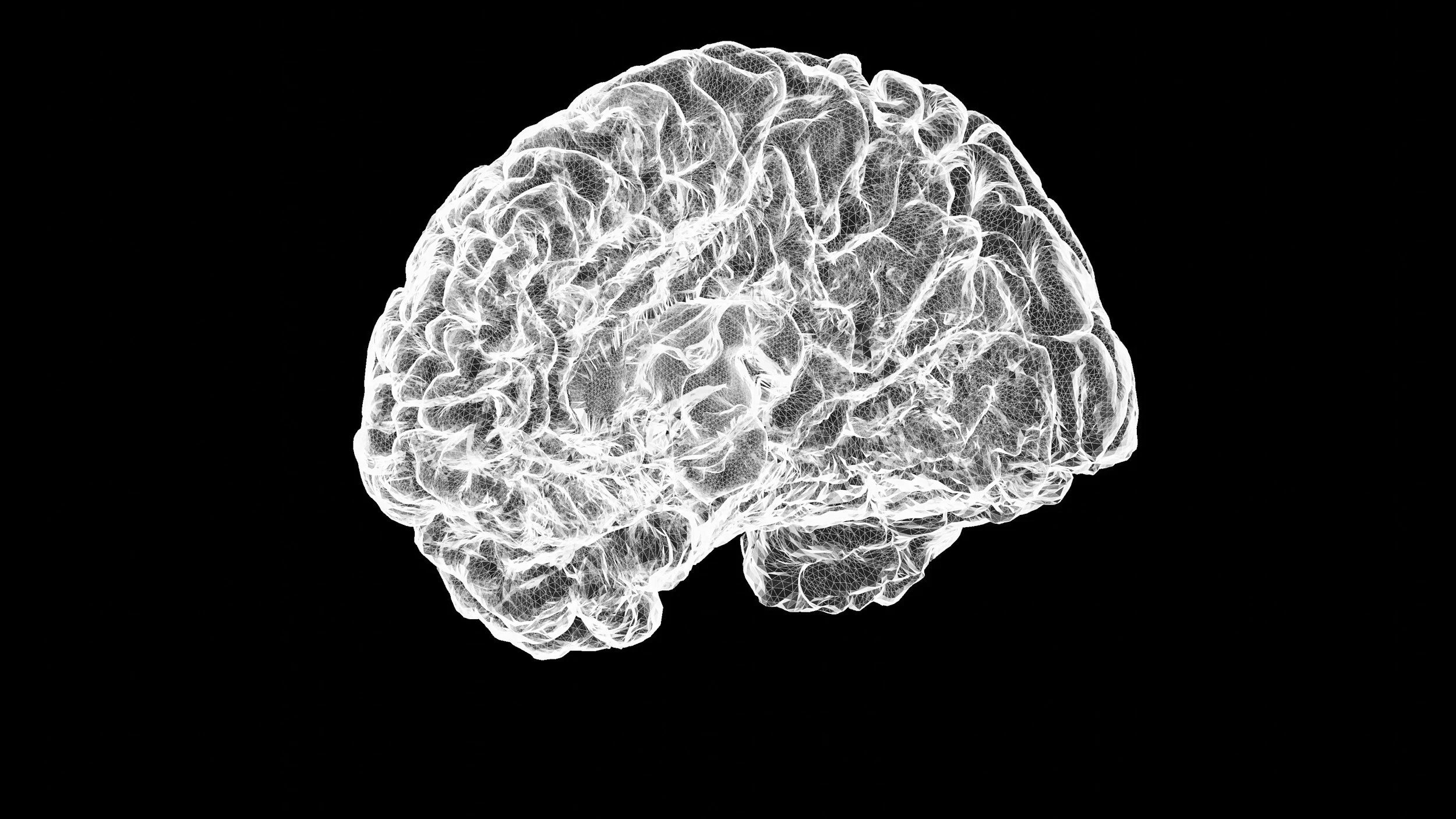 What is The Monochrome Mind? Do You Have it?