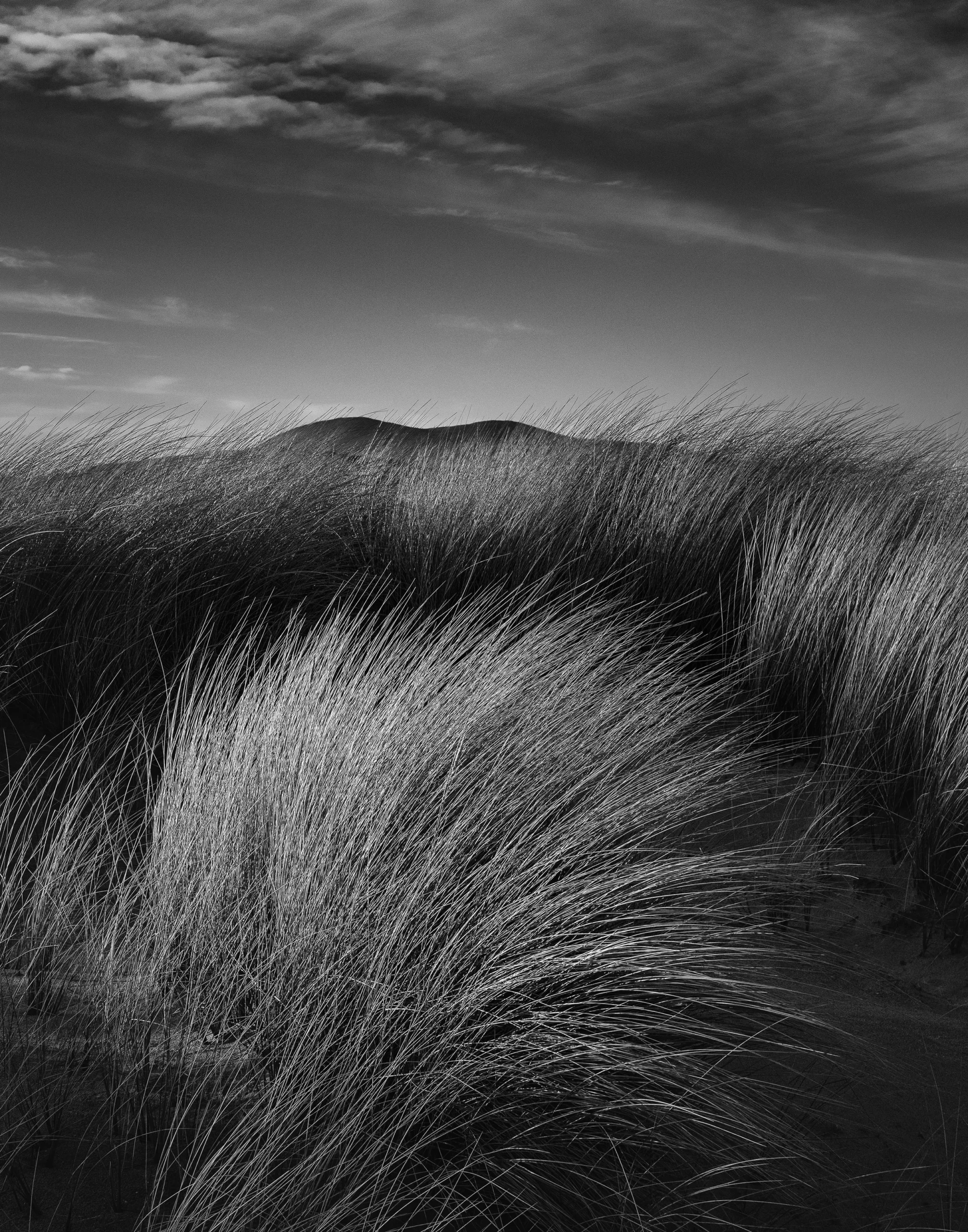 Behind The shot With Michael Houghton