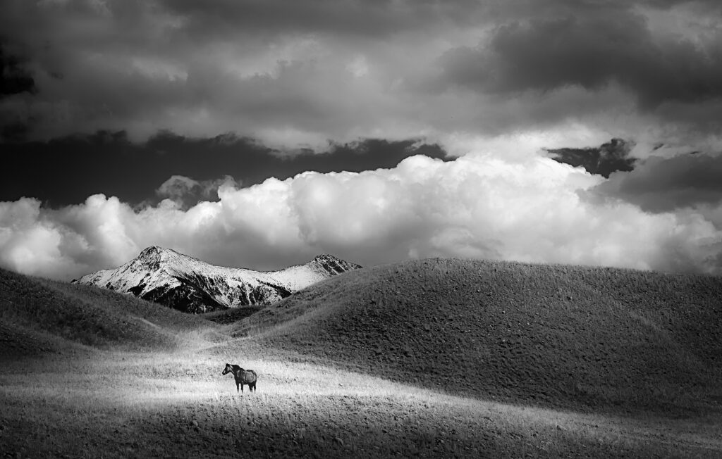 Photograph by Barbara Altevers