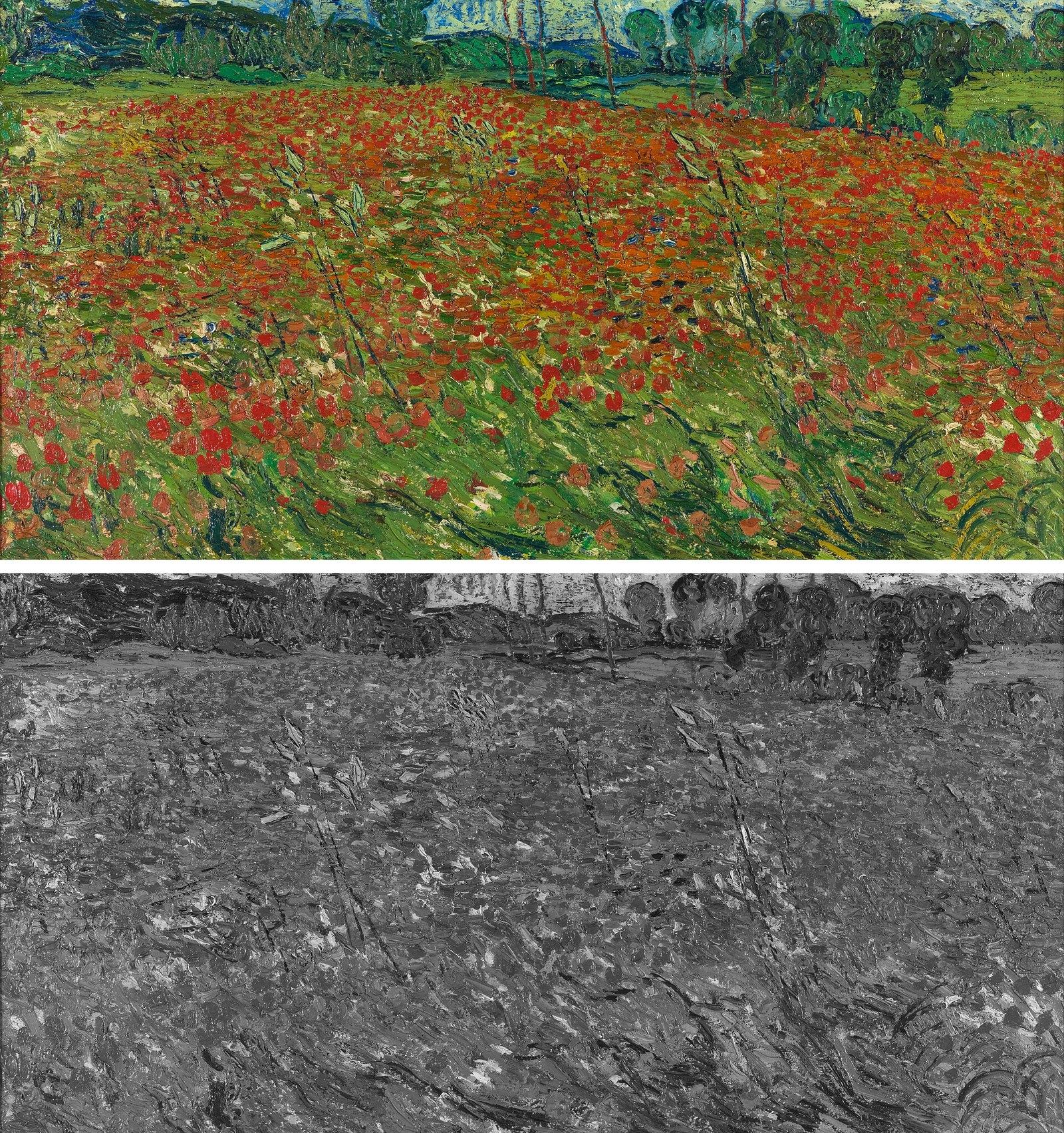 Detail of Vincent van Gogh’s Poppy Field shown twice, above in color with a field full of red poppies, below in grayscale where the poppies merge into the green and almost vanish