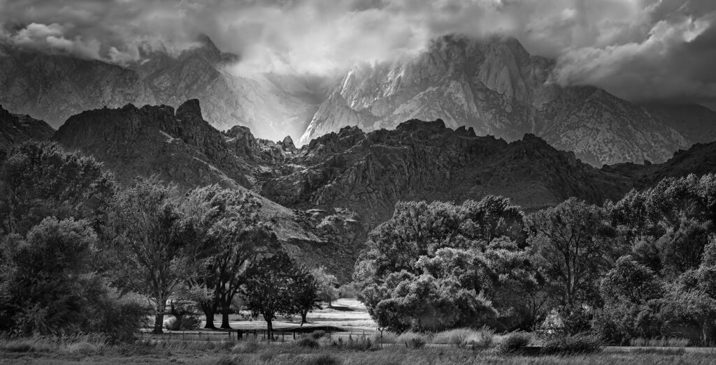 Photograph by Barbara Altevers