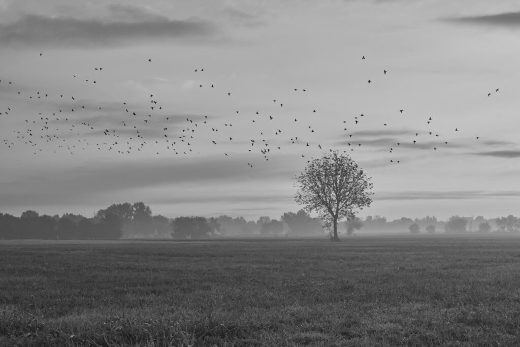 Photograph by Duccio Solari