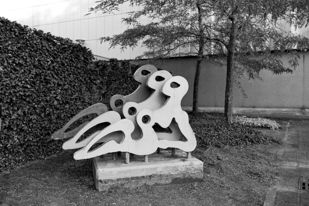 Photograph by Raúl Campos Kösters