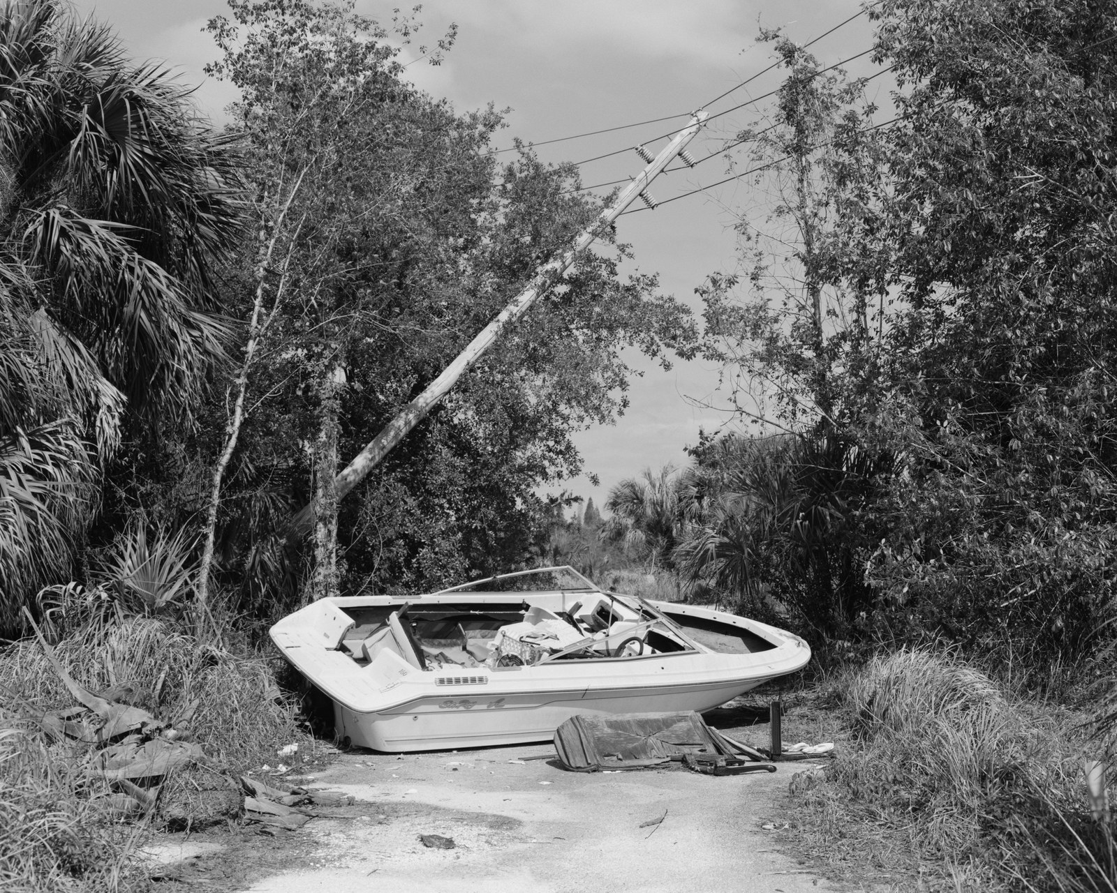 A boat stranded on a sand road between palmetto and trees with a utility pole leaning overhead