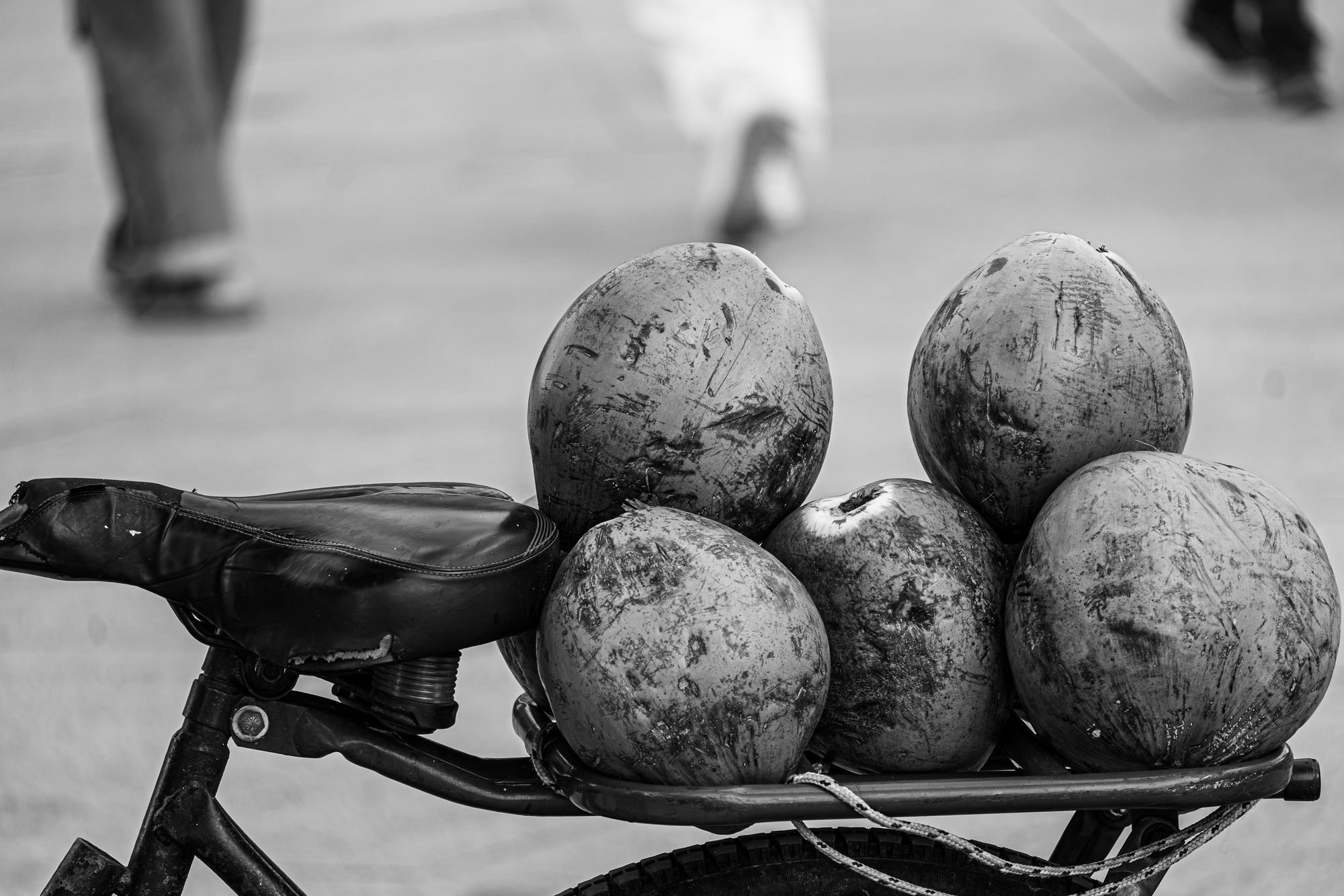 Five coconuts roped to the luggage rack of a bicycle with pedestrians blurred in the background