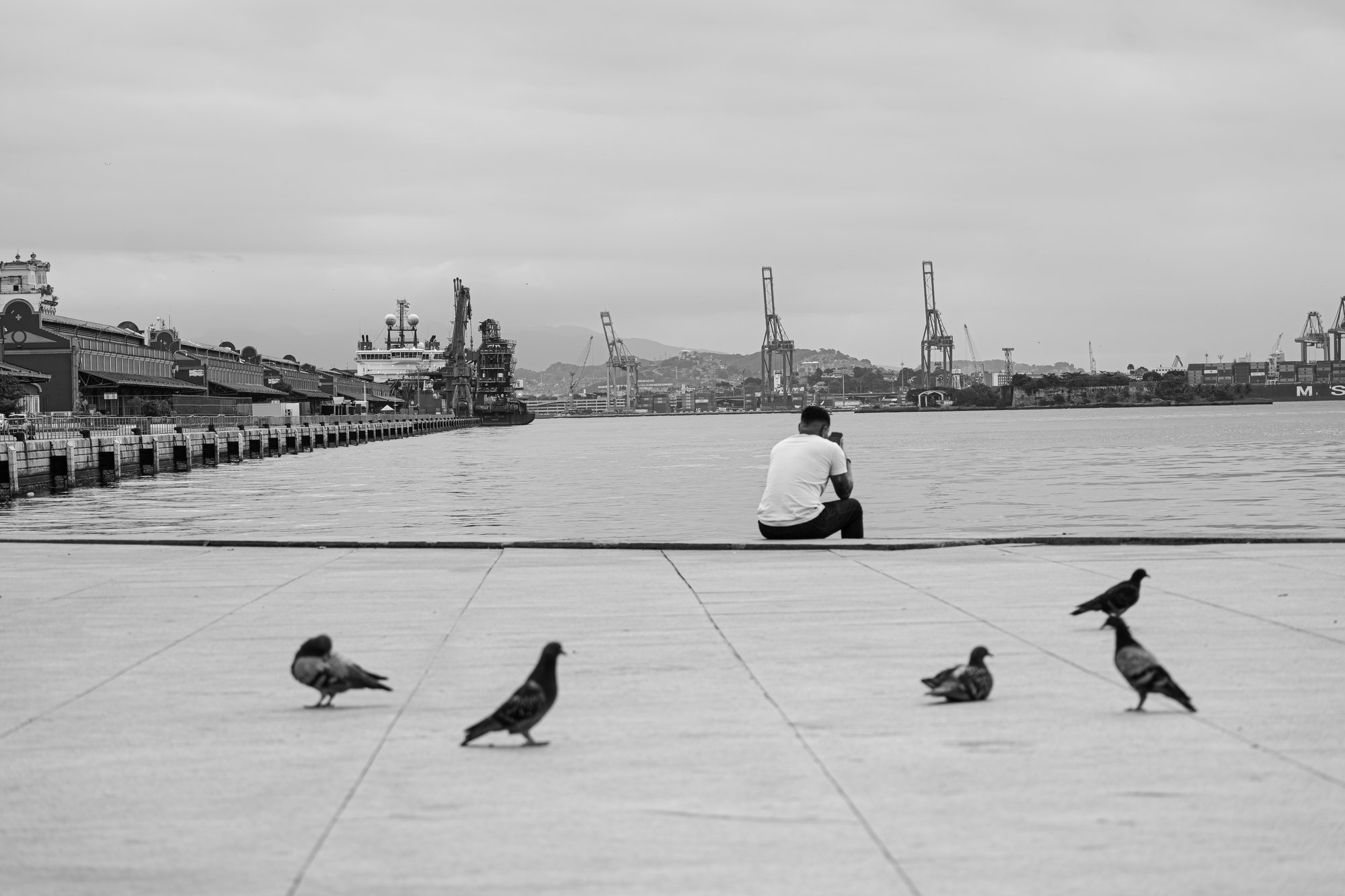 A man sits alone at the edge of the quay facing the working port while pigeons stand on the pavement behind him