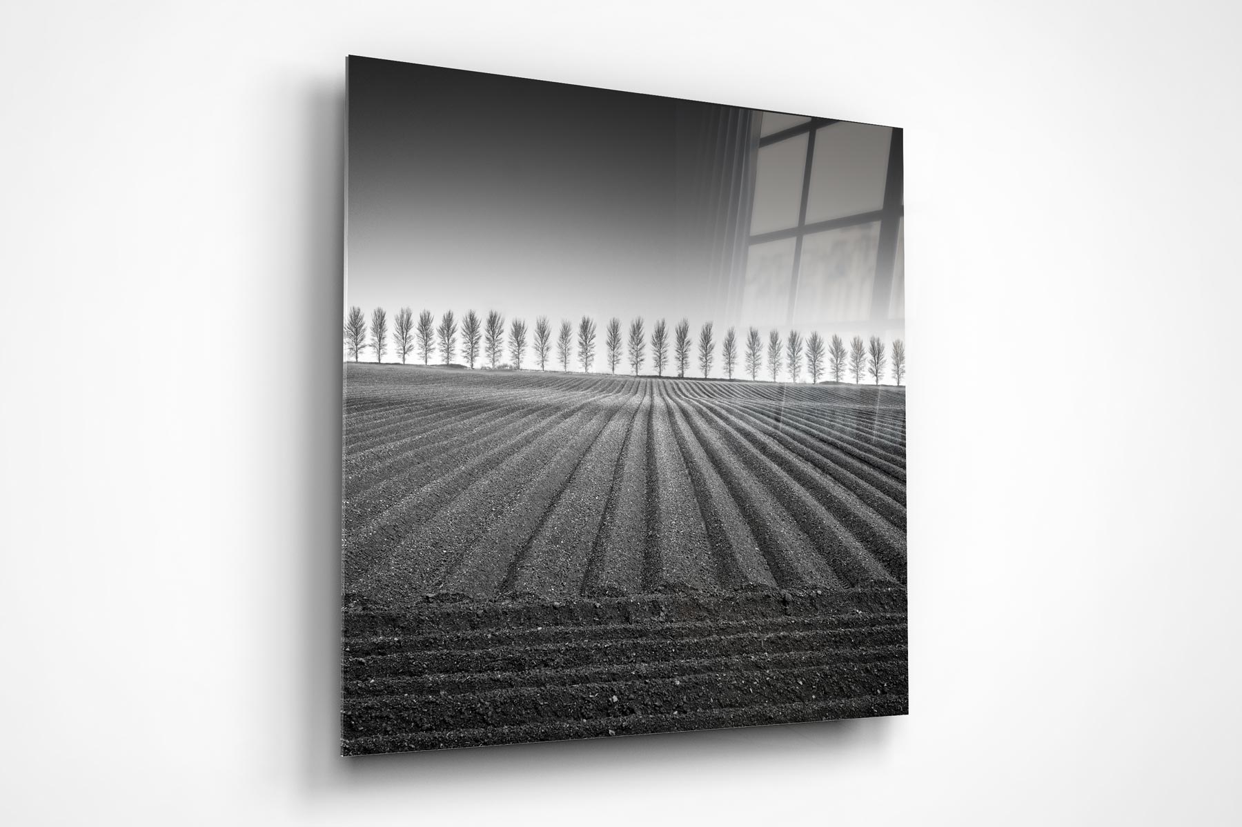 An acrylic print of freshly turned furrows converging on a line of winter trees