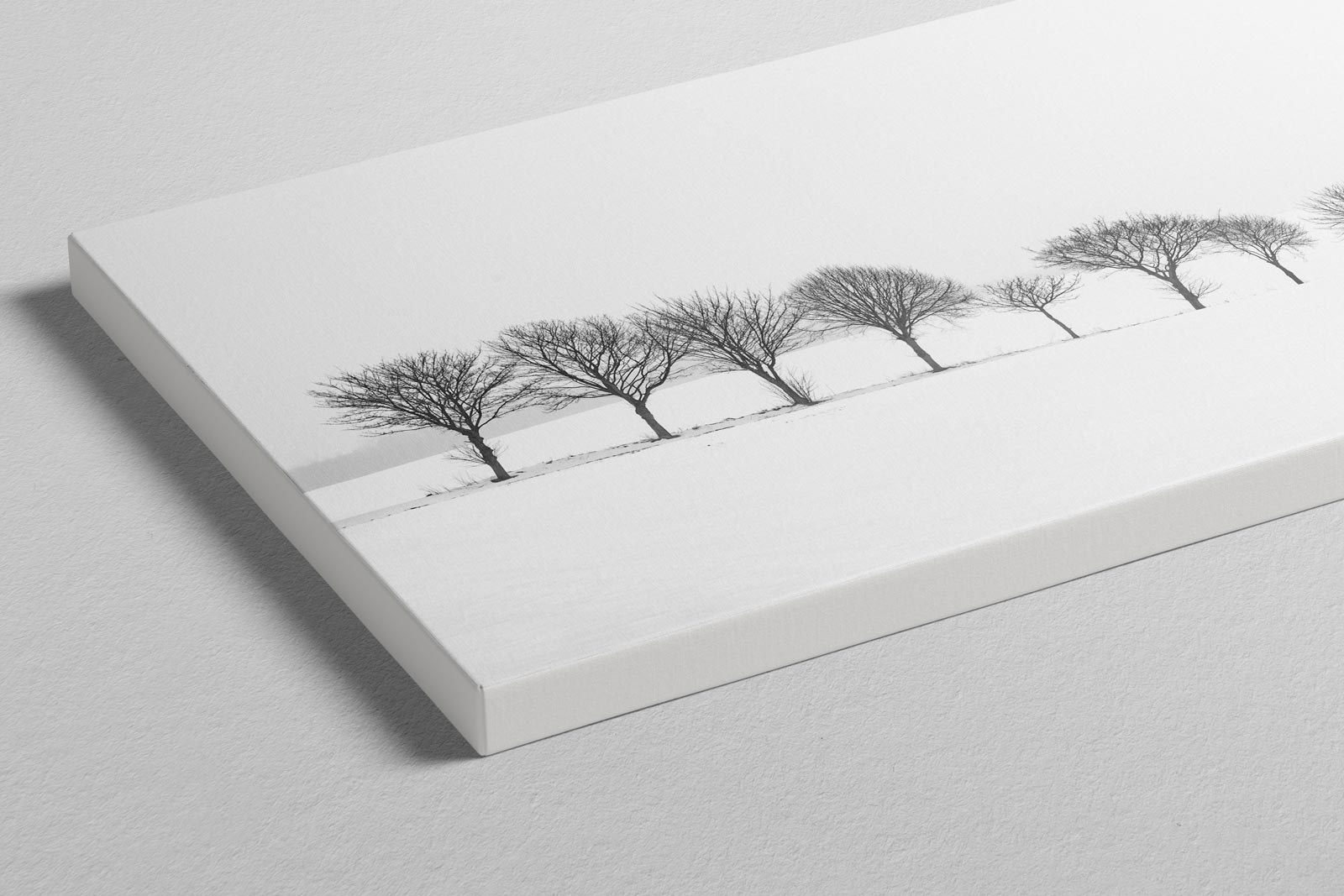 A panoramic canvas print of a line of bare trees in snow, photographed at an angle to show the depth of the canvas