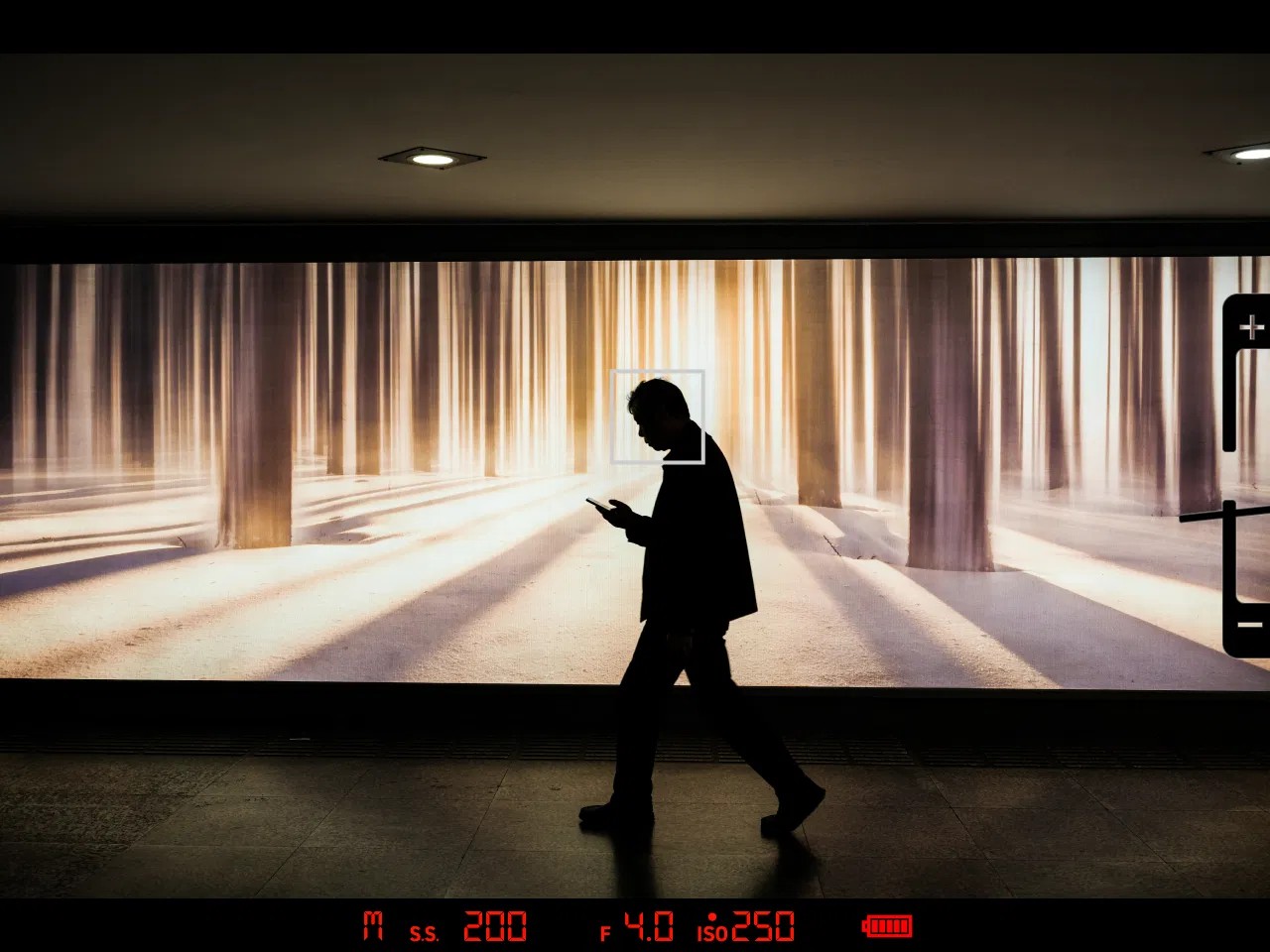 A photographer reviewing an image on the rear screen of a Fujifilm X-E5