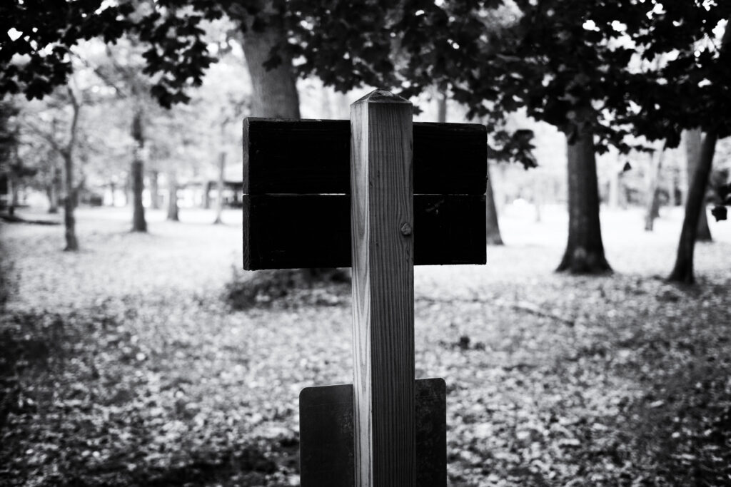 Photograph by David Stebbing