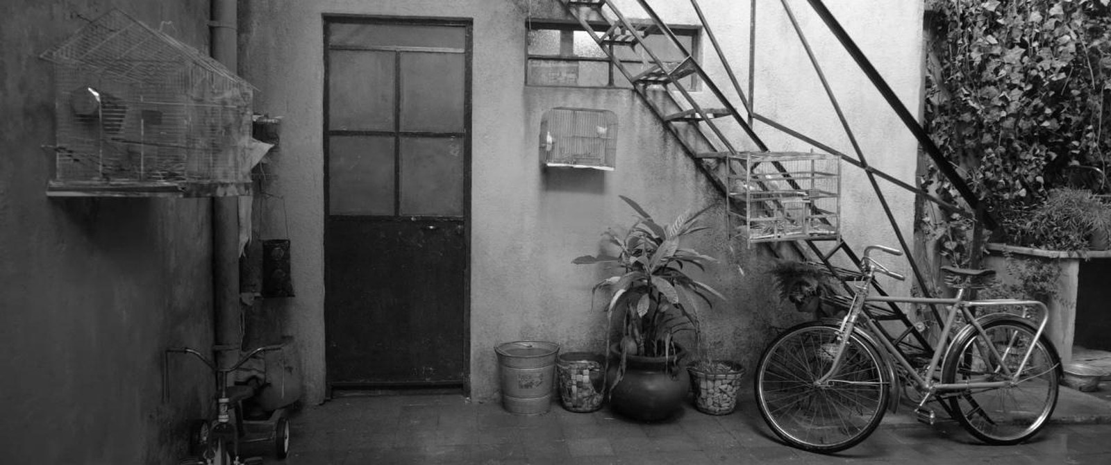 A courtyard wall photographed straight on, with a dark door, a birdcage, a staircase, potted plants and a bicycle leaning against the wall
