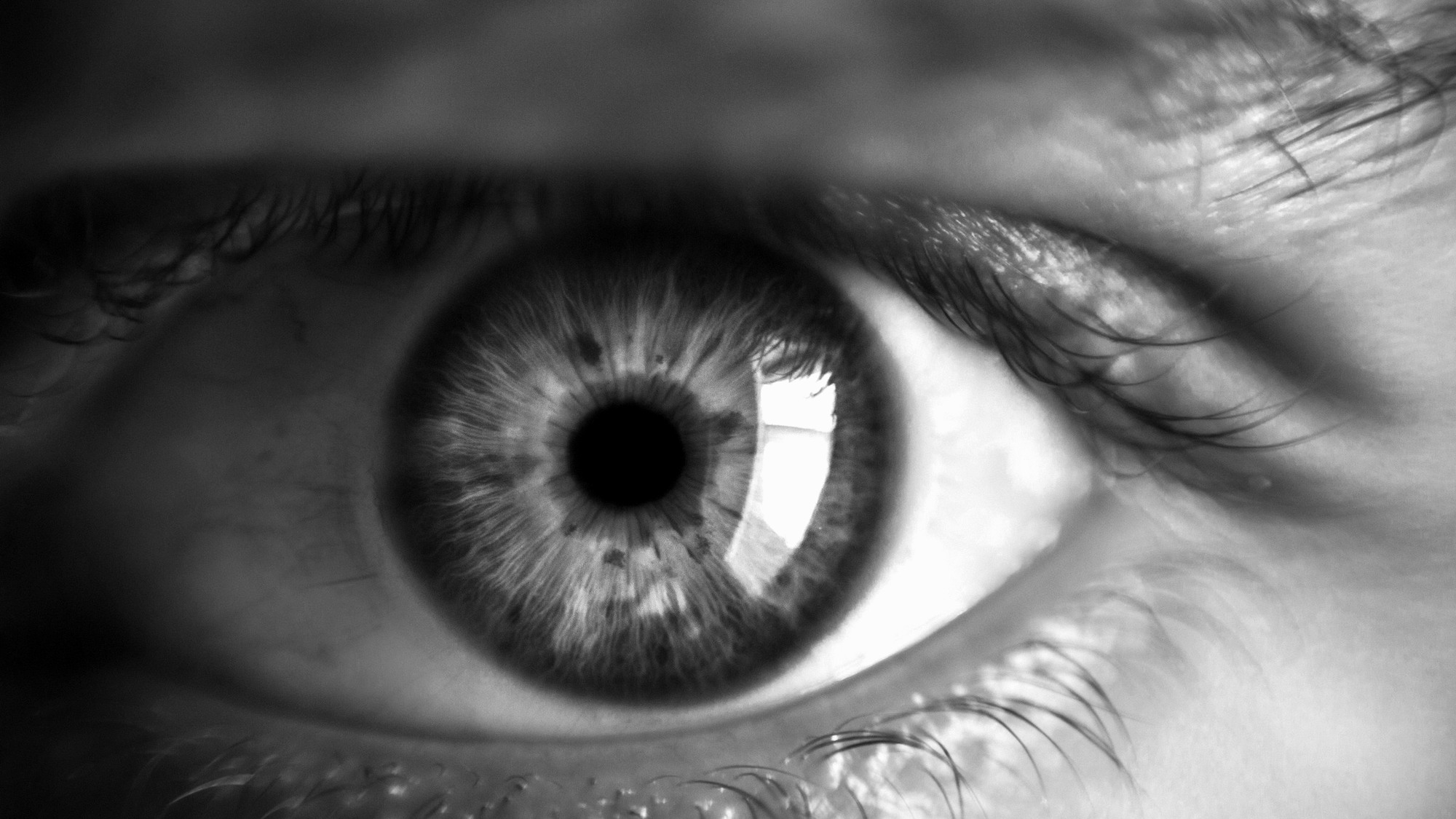 Watch Their Eyes, Not Their Words